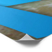 Prostatakrebs-Sensibilitätspaket Poster (Ecke)