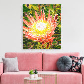 Protea Australische Blumenfotografie Leinwanddruck (Insitu (Wohnzimmer))