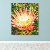 Protea Australische Blumenfotografie Leinwanddruck (Insitu (Holzboden))