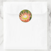 Protea Australische Blumenfotografie Runder Aufkleber (Tasche)
