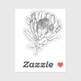 Protea Black & White-Aufkleber für den Sonderschni Aufkleber