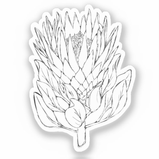Protea Black & White Custom cut Aufkleber IV (Vorderseite)