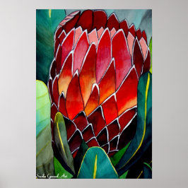 Protea Blume Aquarellmalerei Poster