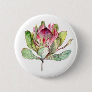 Protea-Blume Button