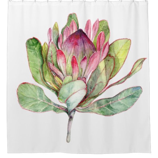 Protea-Blume Duschvorhang (Vorderseite)