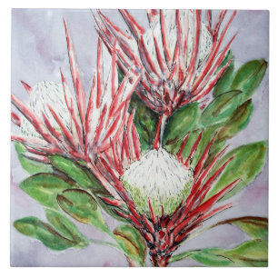 Protea-Blume Fliese