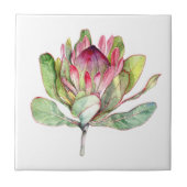 Protea-Blume Fliese (Vorderseite)