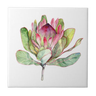 Protea-Blume Fliese