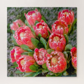 Protea Blume Foto 20' x 20' 676 Stück Puzzle (Horizontal)