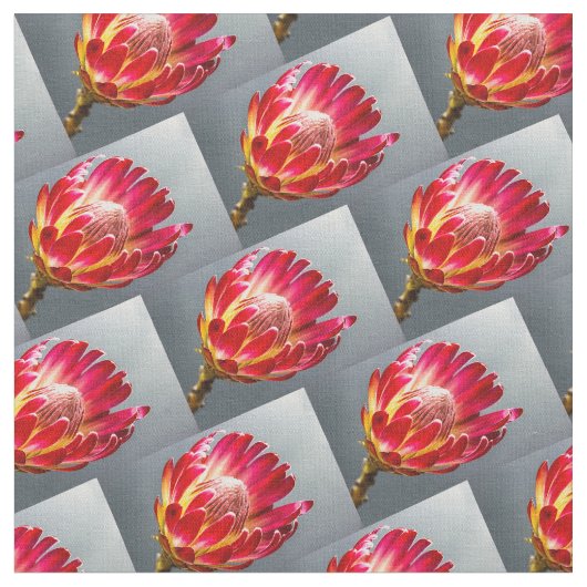 Protea Blume Foto Muster Flora Blume Stoff (Nahaufnahme)