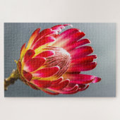 Protea Blume Foto Puzzle (Horizontal)