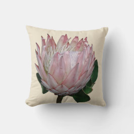 Protea Blume Ice-Creme Kissen