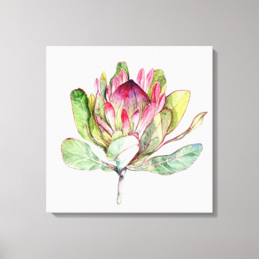 Protea-Blume Leinwanddruck (Vorderseite)