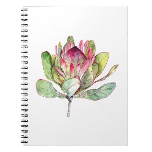Protea-Blume Notizblock (Vorderseite)