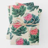 Protea Blume Pattern Geschenkpapier Set (Beispiel)