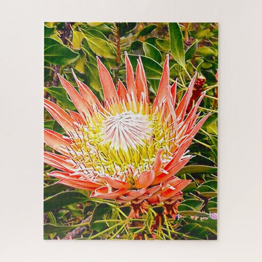 Protea-Blume-Puzzle Puzzle (Vertikal)