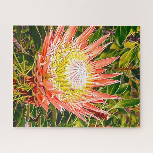 Protea-Blume-Puzzle Puzzle (Horizontal)
