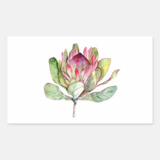 Protea-Blume Rechteckiger Aufkleber (Vorderseite)