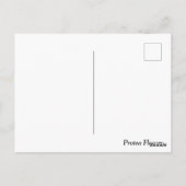 Protea Blume Südafrika Postkarte (Rückseite)