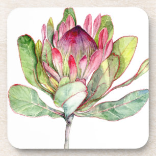 Protea-Blume Untersetzer