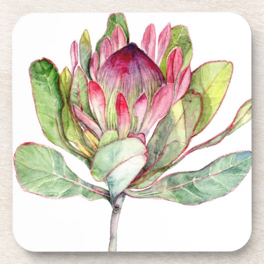 Protea-Blume Untersetzer (Vorderseite)
