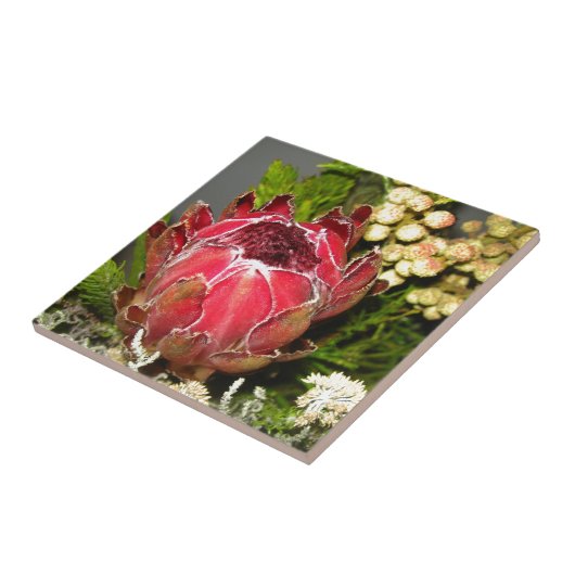 Protea-Blumenstrauß Fliese (Seite)