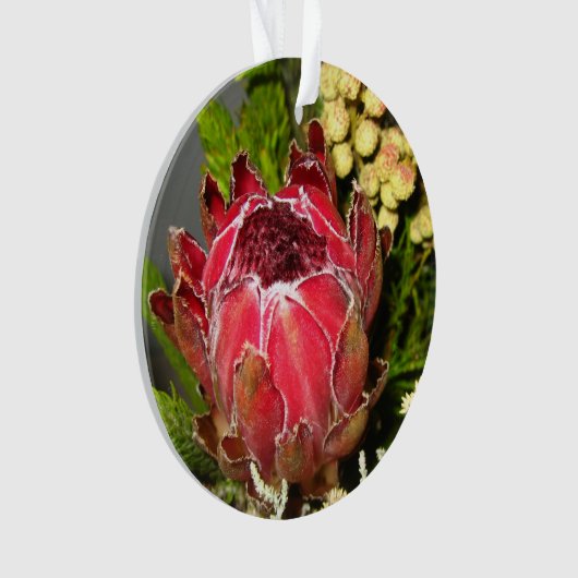 Protea-Blumenstrauß Ornament (Vorderseite)