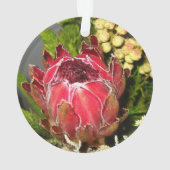 Protea-Blumenstrauß Ornament (Rückseite)