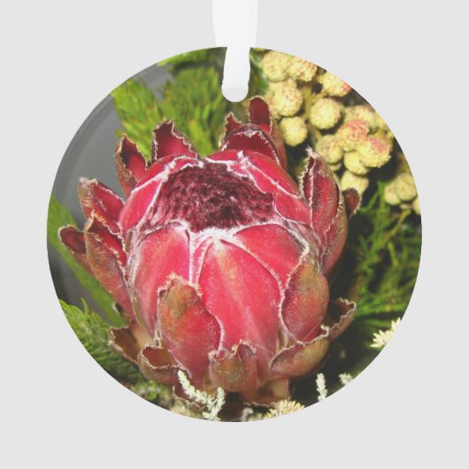 Protea-Blumenstrauß Ornament (Rückseite)