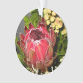 Protea-Blumenstrauß Ornament (Vorderseite)