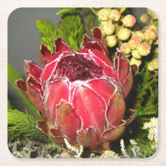Protea-Blumenstrauß Rechteckiger Pappuntersetzer
