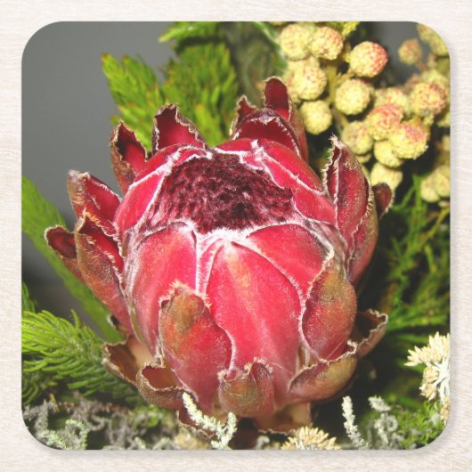 Protea-Blumenstrauß Rechteckiger Pappuntersetzer (Vorderseite)