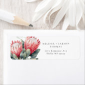 Protea Blush Wasserfarbe Blume Hochzeit (Insitu)