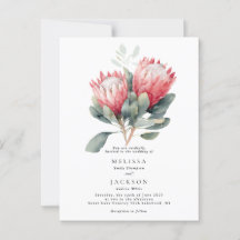 Protea Blush Wasserfarbe Blume Hochzeit