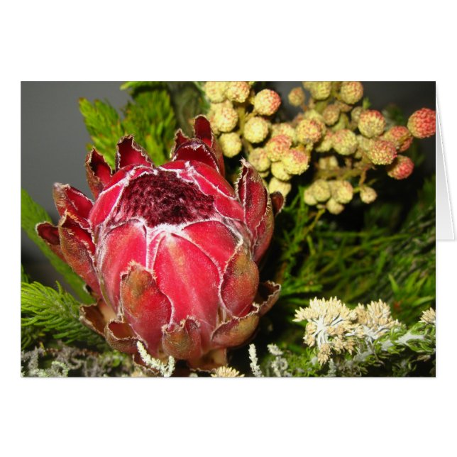 Protea Bouquet (Vorderseite (Horizontal))