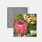 Protea Bouquet Magnet (Vorderseite/Rückseite)