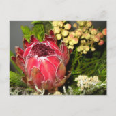 Protea Bouquet Postkarte (Vorderseite)