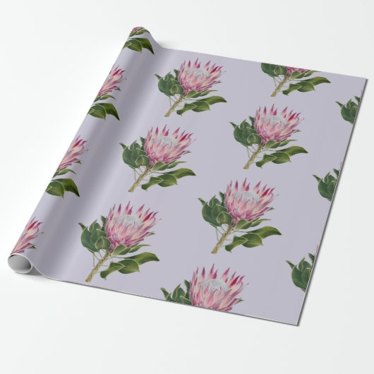 Protea Cadeaupapier Geschenkpapier (Ungerollt)