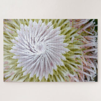 Protea cynaroides König-Protea. Puzzle