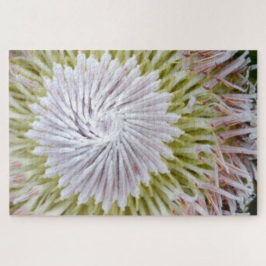 Protea cynaroides König-Protea. Puzzle (Horizontal)