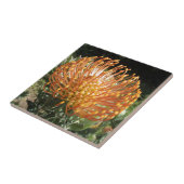 Protea Fliese (Seite)
