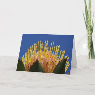 Protea flower card karte