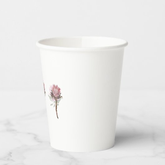 protea flowers pappbecher (Links)