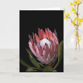 Protea Greeting Card Karte (Gelbe Blume)