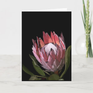 Protea Greeting Card Karte