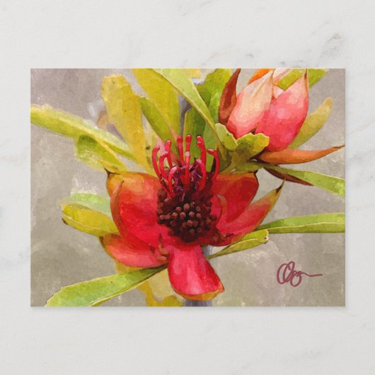 Protea-Liebe Postkarte (Vorderseite)