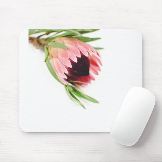 Protea Mousepad (Mit Mouse)