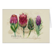 Protea Notecard (Vorderseite (Horizontal))