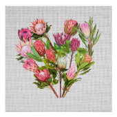 Protea Poster (Vorderseite)