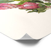 Protea Poster Small (Ecke)